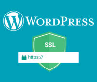 WordPress HTTPS LeDigitalizeur